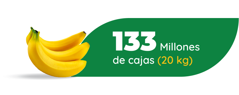 Group 33