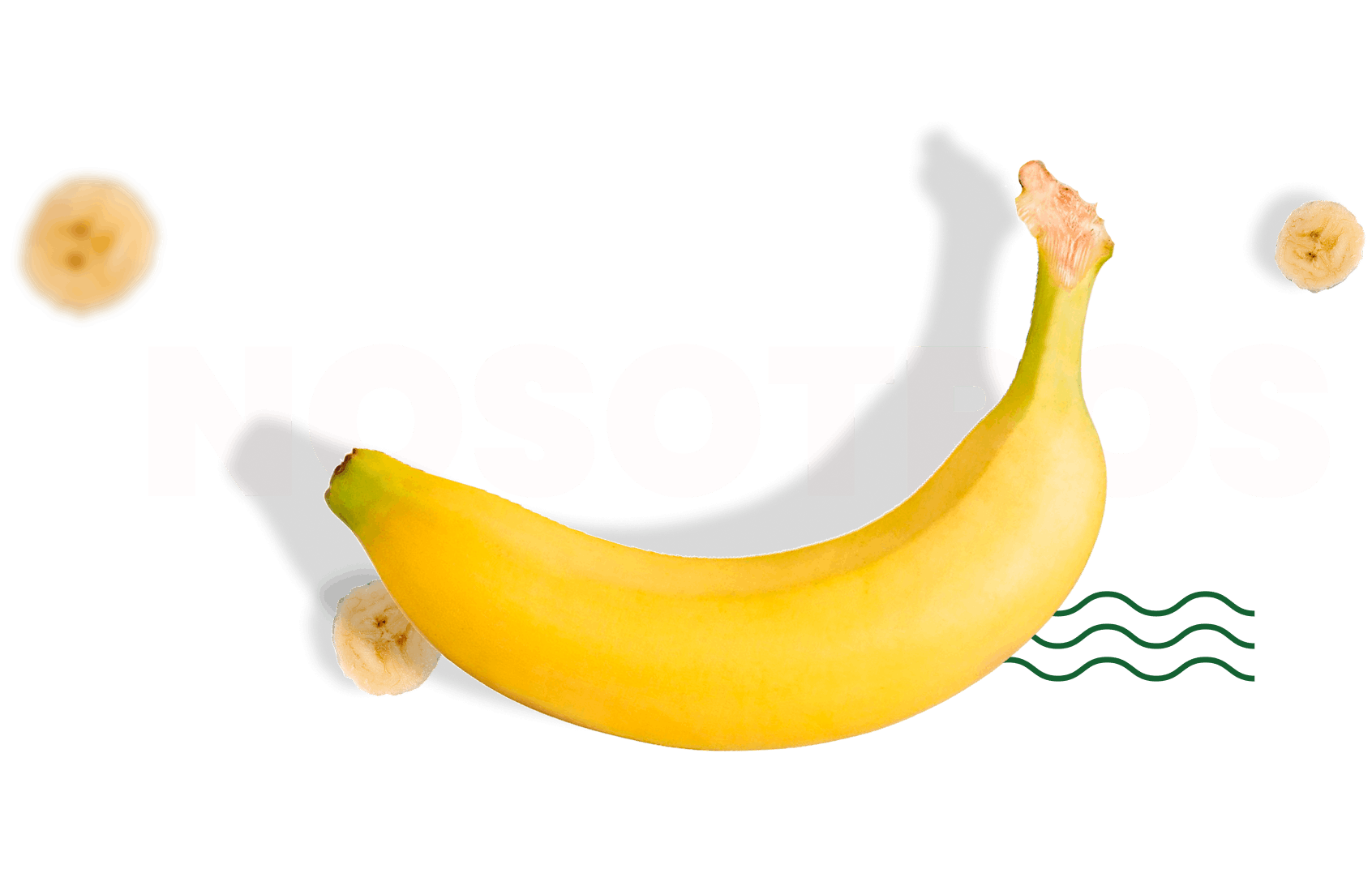 Nosotros